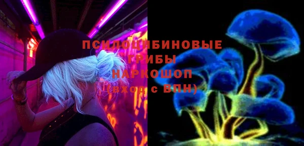 гидра Аркадак