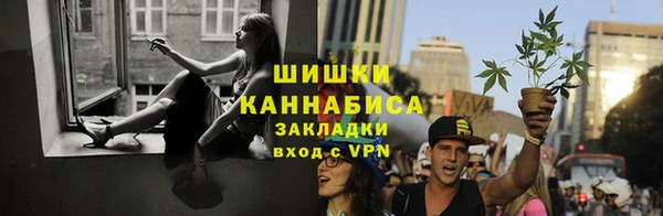 спайс Алексин