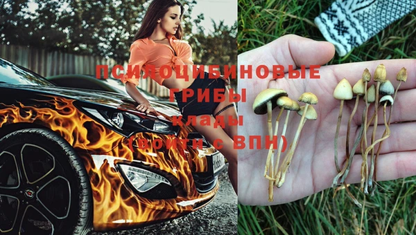соль курить ск Алзамай