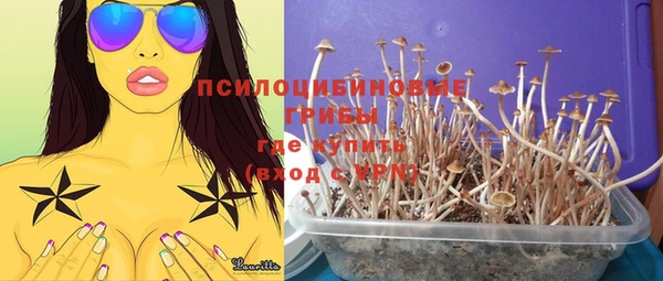 спайс Алексин