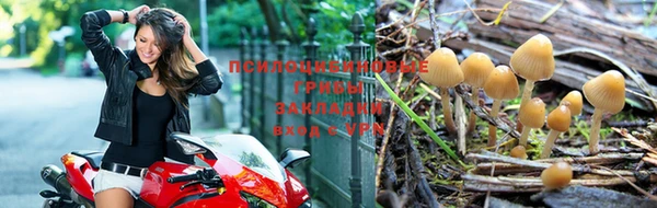 соль курить ск Алзамай